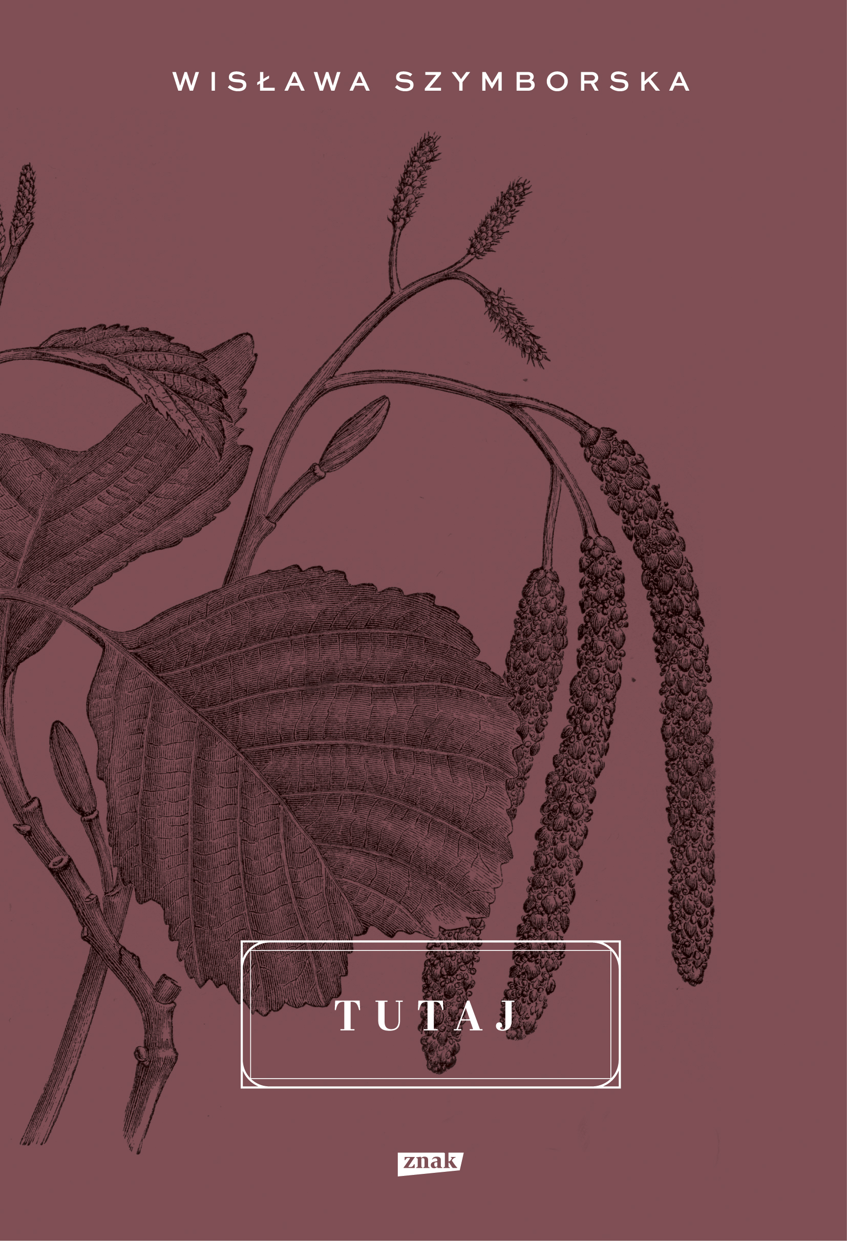 Tutaj
