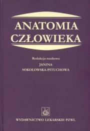 Opakowanie Anatomia człowieka