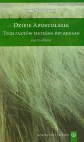 Okładka książki Dzieje apostolskie Tych faktów jesteśmy świadkami