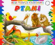 Moja pierwsza kolorowanka - Ptaki. Autor:   Praca zbiorowa. Dadada.pl Okładka książki Moja pierwsza kolorowanka - Ptaki