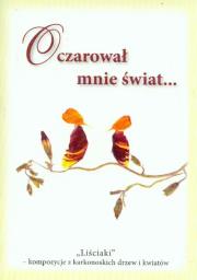 Oczarował mnie świat. Autor: Pawłowska Alina, Sokołowska Barbara. Dadada.pl Okładka książki Oczarował mnie świat