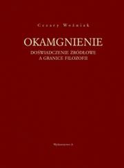 Okamgnienie. Autor: Cezary Woźniak. Dadada.pl Okładka książki Okamgnienie