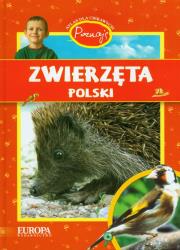 Poznaję Zwierzęta Polski. Autor: Kokurewicz Dorota. Dadada.pl Okładka książki Poznaję Zwierzęta Polski