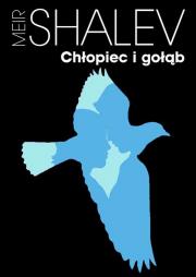 Okładka książki Chłopiec i gołąb