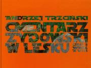 Okładka książki Cmentarz żydowski w Lesku część 2 Wiek XVIII