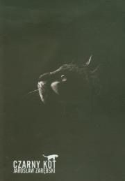 Okładka książki Czarny kot