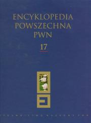 Opakowanie Encyklopedia Powszechna PWN t.17