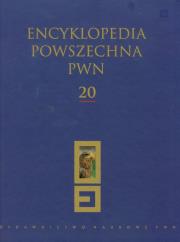 Opakowanie Encyklopedia Powszechna PWN t.20