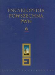 Opakowanie Encyklopedia Powszechna PWN t.6