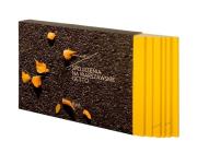 Okładka książki Spojrzenia na warszawskie getto