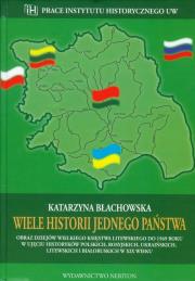 Okładka książki Wiele historii jednego państwa