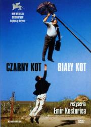 Okładka książki Czarny kot, biały kot