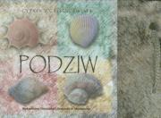 Okładka książki Kamyczki - Podziw