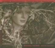 Sleepy forest. Autor: Brzozowski Michał, Brajter Tomasz, Werk Maciej. Dadada.pl Okładka książki Sleepy forest