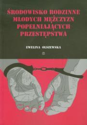 Okładka książki Środowisko rodzinne młodych mężczyzn popełniających przestępstwa