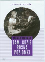 Tam, gdzie rosną poziomki. Autor: Ingmar Bergman. Dadada.pl Okładka książki Tam, gdzie rosną poziomki