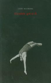 Okładka książki Upadek gwiazd