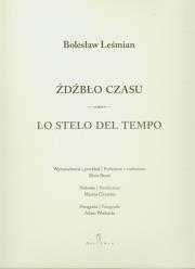 Okładka książki Źdźbło czasu / Lo stelo del tempo