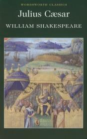 Okładka książki Julius Caesar