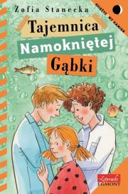 Księżycowy kamień. Tajemnica namoknietej gąbki. Autor: Stanecka Zofia. Dadada.pl Okładka książki Księżycowy kamień. Tajemnica namoknietej gąbki
