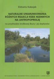 Naturalne uwarunkowania różnych reakcji rzek nizinnych na antropopresję. Autor: Kobojek Elżbieta. Dadada.pl Okładka książki Naturalne uwarunkowania różnych reakcji rzek nizinnych na antropopresję