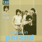Obraz we mgle. Autor: Made in Poland. Dadada.pl Okładka książki Obraz we mgle
