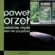 Ostatnie myśli (sen nie przyjdzie). Autor: Orzeł Paweł. Dadada.pl Okładka książki Ostatnie myśli (sen nie przyjdzie)