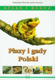 Płazy i gady Polski Atlas i klucz. Autor: Herczek Aleksander, Gorczyca Jacek. Dadada.pl Okładka książki Płazy i gady Polski Atlas i klucz