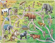 Opakowanie Puzzle Od małpy do człowieka 83