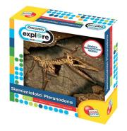 Opakowanie Skamieniałości pteranodona