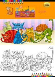 Opakowanie Kolorowanka Koty