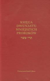 Okładka książki Księga Dwunastu Mniejszych Proroków