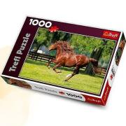 Okładka książki Puzzle 1000 Galop  TREFL