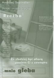 Rzeźba. Autor: Szpindler Andrzej. Dadada.pl Okładka książki Rzeźba
