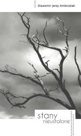 Okładka książki Stany nieustalone