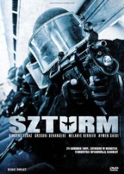 Okładka książki Szturm