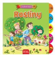 Wokół nas - Rośliny BH. Autor: Sobich Agnieszka. Dadada.pl Okładka książki Wokół nas - Rośliny BH