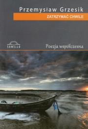 Zatrzymać chwile. Autor: Grzesik Przemysław. Dadada.pl Okładka książki Zatrzymać chwile