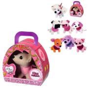 Opakowanie Ch Chi Mini Fashion