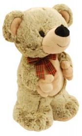 Opakowanie Miś Willy stojący 28 cm