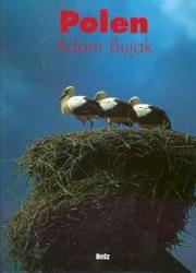 Polska. Autor: Bujak Adam. Dadada.pl Okładka książki Polska