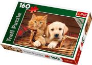 Okładka książki Puzzle 160 Razem raźniej TREFL