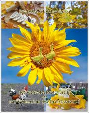 Okładka książki Rozsmakuj się w powiecie bydgoskim