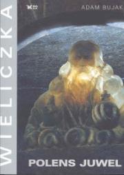 Wieliczka Polens Juwel. Autor: Bujak Adam. Dadada.pl Okładka książki Wieliczka Polens Juwel