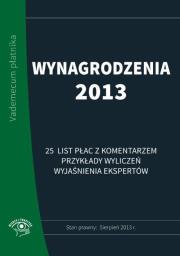 Opakowanie Wynagrodzenia 2013