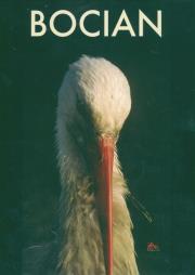 Okładka książki Bocian