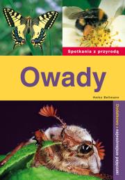 Spotkania z przyrodą. Owady. Autor: Bellmann Heiko. Dadada.pl Okładka książki Spotkania z przyrodą. Owady