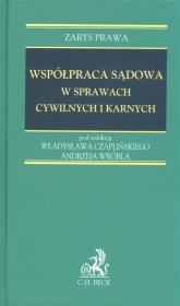 Okładka książki Współpraca sądowa w sprawach cywilnych i karnych