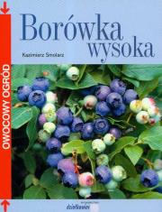 Okładka książki Borówka wysoka