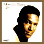 Joy. Autor: Marvin Gaye. Dadada.pl Okładka książki Joy